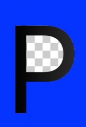 Tyler James Pace CPA logo mark